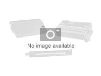 Zebra Z-Ultimate 3000T - tape - glossy - 11160 label(s) - 76.2 x 101.6 mm 880261-076D